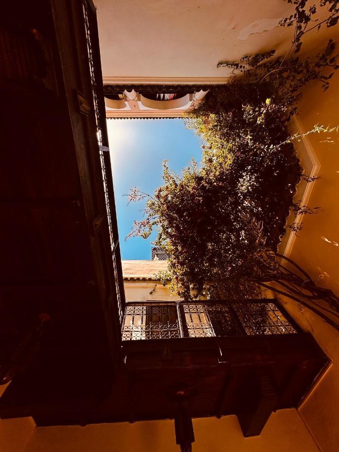 Riad Msholidays Bassin Privatise Marrakech مراكش المظهر الخارجي الصورة